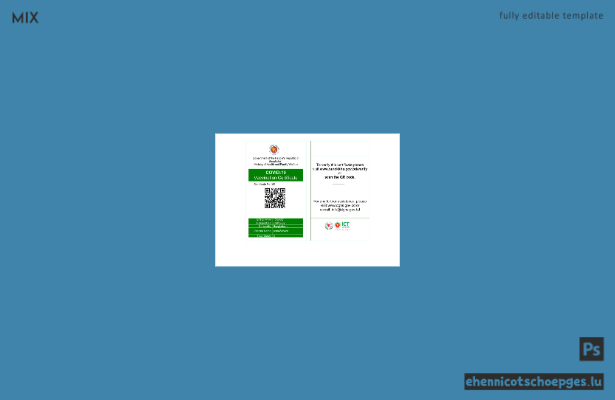 Beispielansicht des COVID-19-Impfzertifikats für Bangladesch (Word- und PDF-Format)